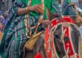 “Support Who You Believe In, Serve Ibadan Fairly” — G30 Tells Akere Amid Political Controversy