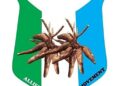 *Oyo APM Campaign Council Expands Committees, Announces Friday Inauguration*